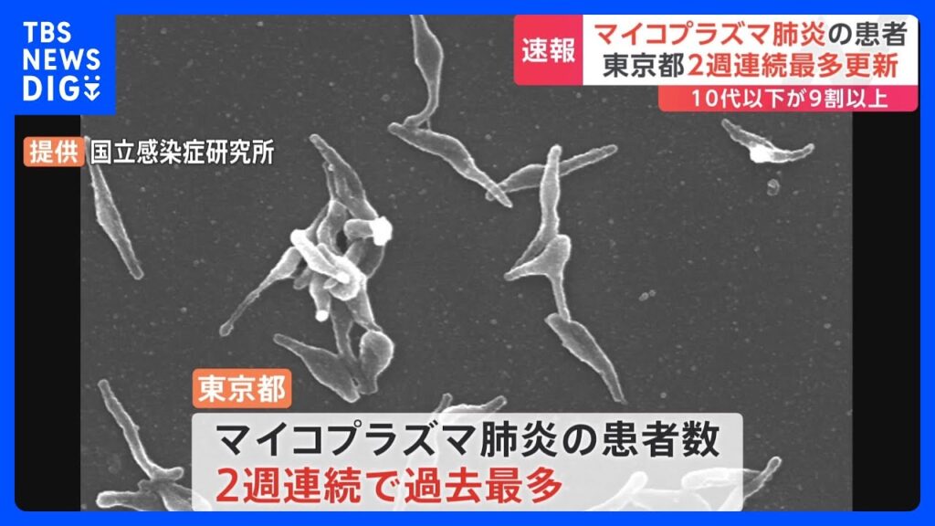 【今年に入ってからの患者数の累計、10代以下が90%以上】東京都　マイコプラズマ肺炎の患者数が2週連続　過去最多